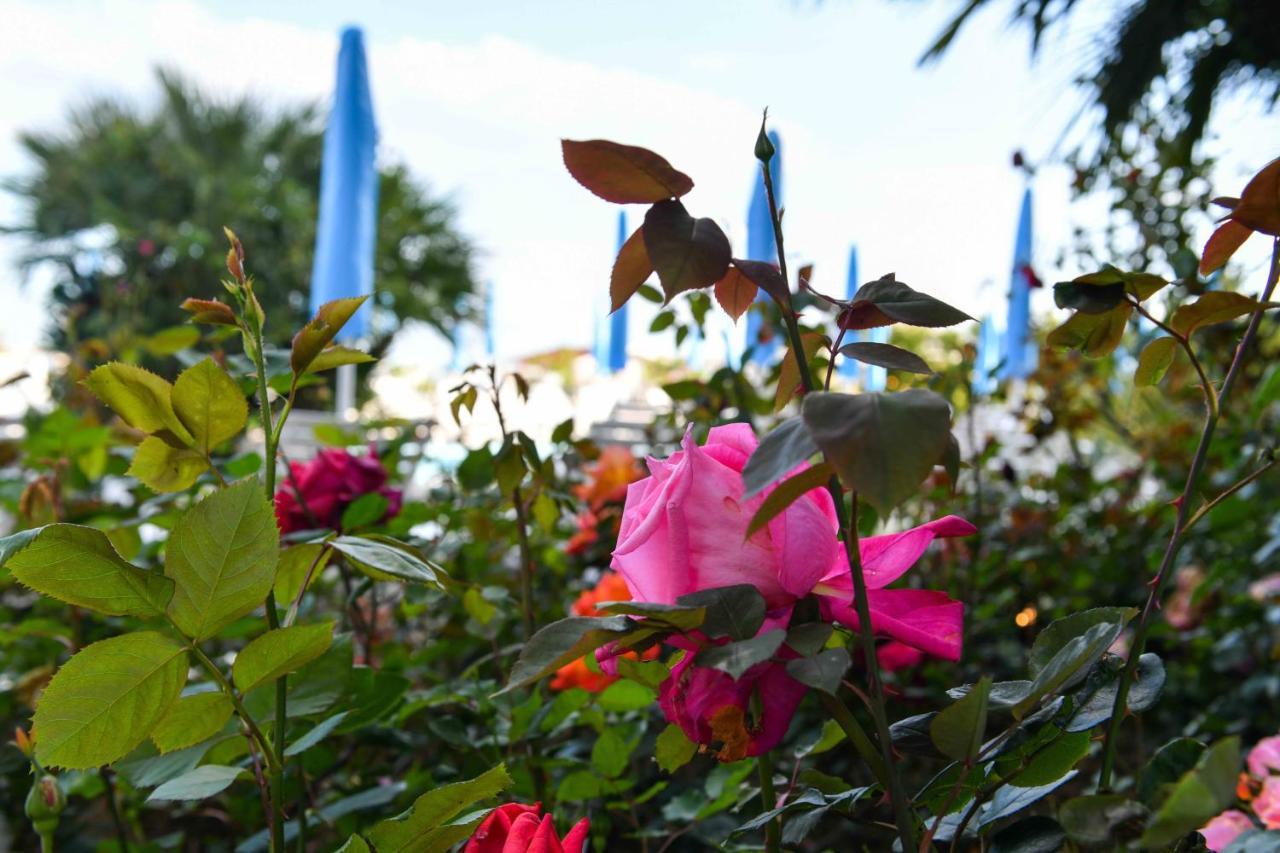 Hotel Majestic Lido di Jesolo Bagian luar foto